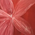 Rote Blume / Red Flowers