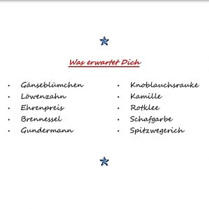 Kinderkräuterbuch – Kräuterbuch to go – Kräuterbuch für Anfänger