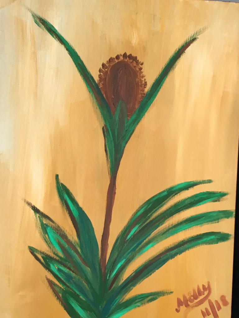 Tulpe / Tulip