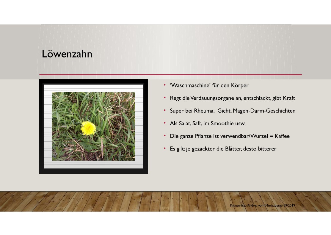 Steckbrief Kräuter – Bild 2